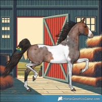 Horse Color:Bay Roan Tobiano Frame