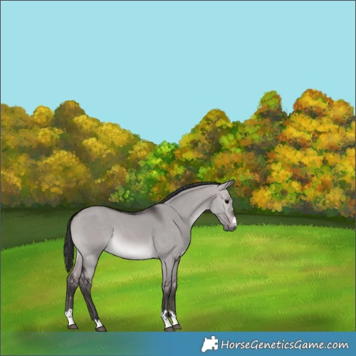 Horse Color:Platinum Brown Dun 
