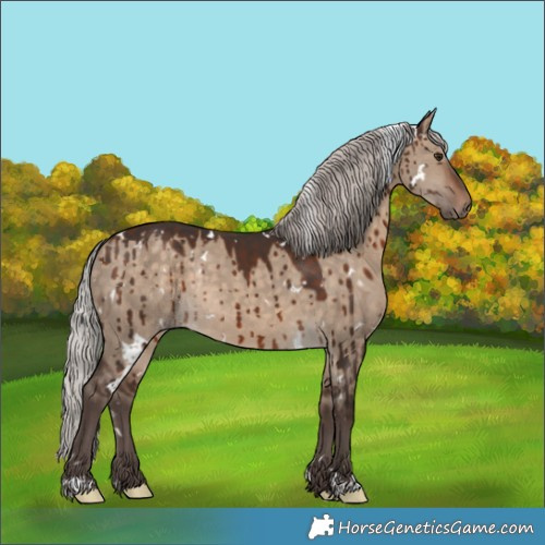 Horse Color:White Spotted Silver Brown Dun Rabicano Brindle 