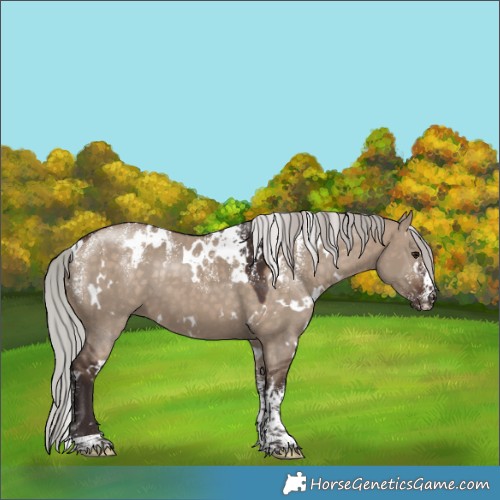 Horse Color:Powder White White Spotted Silver Brown Dun