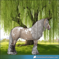 Horse Color:Powder White White Spotted Silver Brown Dun