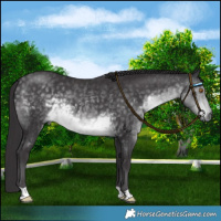 Horse Color:Platinum Buckskin Mushroom