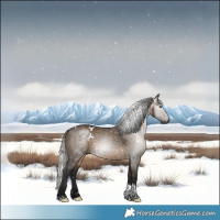 Horse Color:Gray White Spotted Silver Brown Dun Tobiano