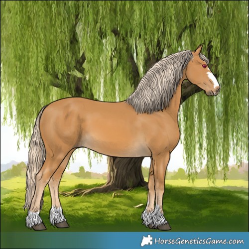 Horse Color:Palomino 