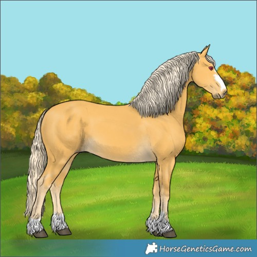 Horse Color:Palomino 