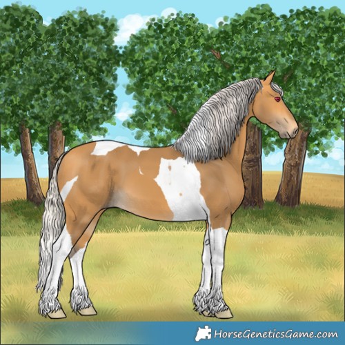 Horse Color:Silver Buckskin Tobiano 