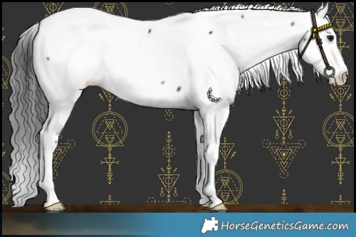 Horse Color:Black Fewspot 