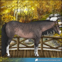 Horse Color:Platinum White Spotted Brown