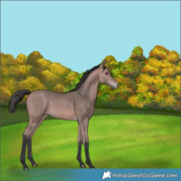 Horse Color:Platinum Bay