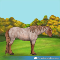 Horse Color:Red Roan
