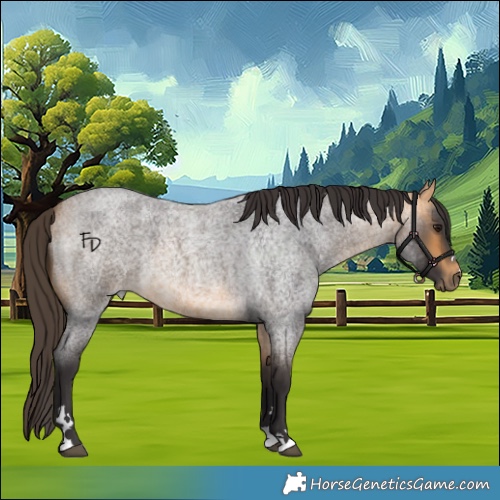 Horse Color:Buckskin Roan 