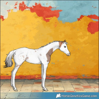 Horse Color:Bay Roan Splash Tobiano Blanket