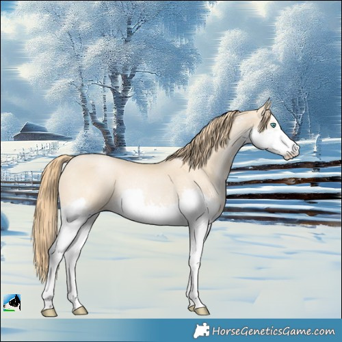 Horse Color:Smoky Black Pearl Sabino Splash Rabicano 