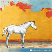Horse Color:Liver Chestnut Mushroom Sabino Near Leopard 