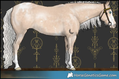 Horse Color:Chocolate Silver Perlino Sabino Appaloosa 