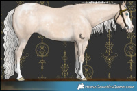 Horse Color:Chocolate Silver Perlino Sabino Varnish