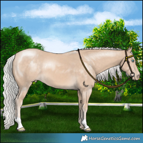 Horse Color:Silver Perlino 