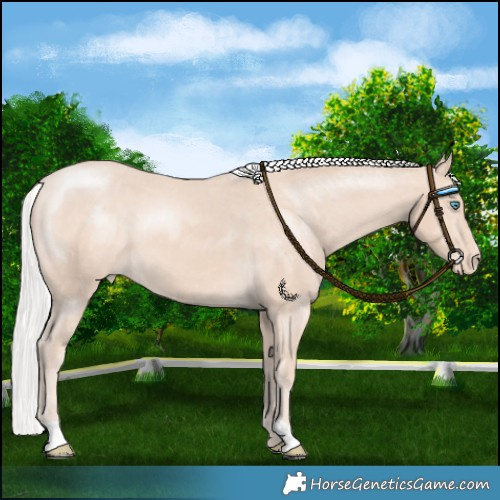 Horse Color:Chocolate Silver Perlino Appaloosa 