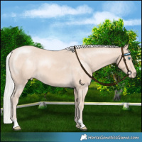 Horse Color:Chocolate Silver Perlino Varnish 
