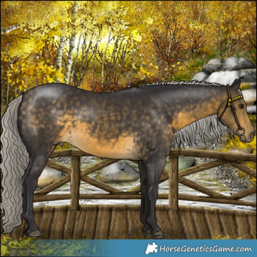 Horse Color:Silver Buckskin 
