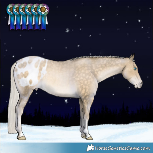 Horse Color:Silver Buckskin Snowdrop Blanket Rabicano