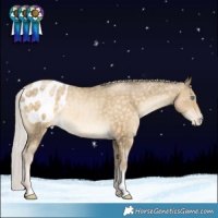 Horse Color:Silver Buckskin Snowdrop Appaloosa Rabicano 