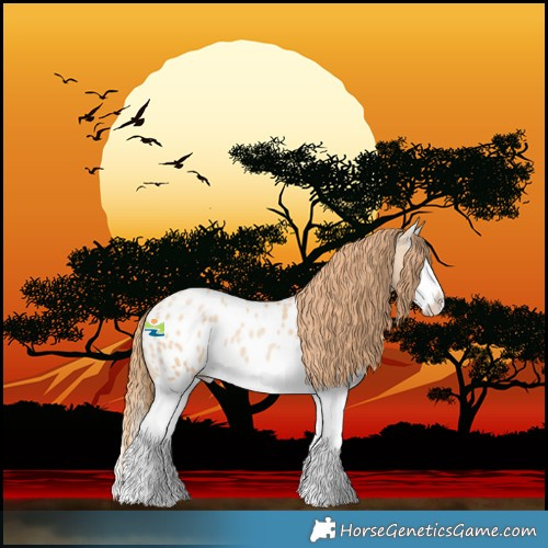 Horse Color:Smoky Black Pearl Splash Blanket 