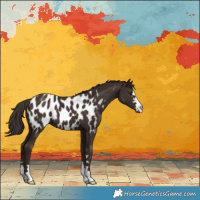 Horse Color:Liver Chestnut Blanket 
