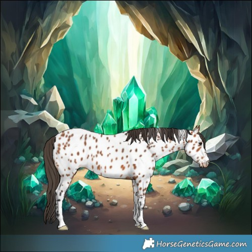 Horse Color:Bay Near Leopard 