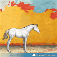 Horse Color:White Spotted Smoky Grullo Ice Snowdrop Tobiano Near Leopard Rabicano 