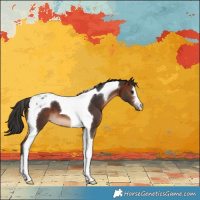 Horse Color:Brown Tobiano 
