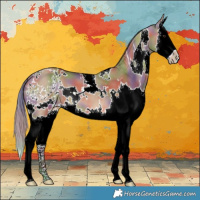 Horse Color:Nacre White Spotted Bay Dun Splash 