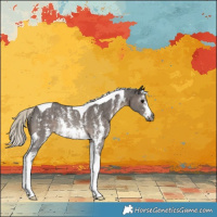 Horse Color:Gray Silver Black Sabino Tobiano Varnish Rabicano 