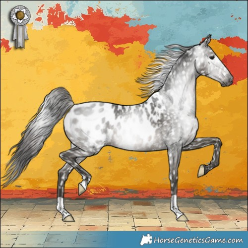 Horse Color:Gray Smoky Black Near Leopard Rabicano 