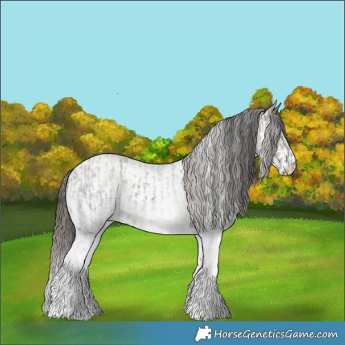Horse Color:White Spotted Blue Roan Rabicano  and White Spotted Classic Champagne Roan Rabicano 