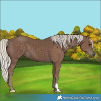 Horse Color:Silver Black