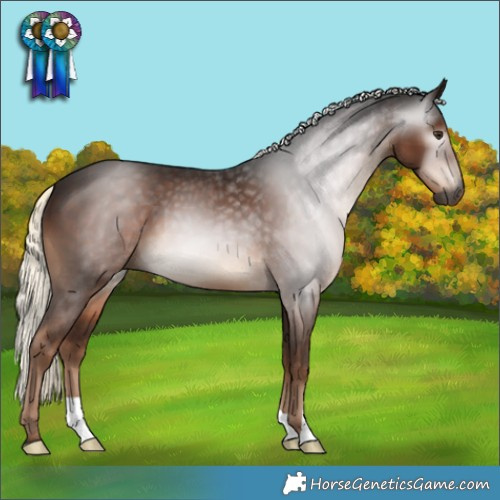 Horse Color:Gray Liver Chestnut Mushroom
