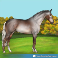 Horse Color:Gray Liver Chestnut Mushroom 