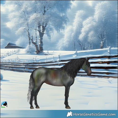 Horse Color:Brown Rabicano 