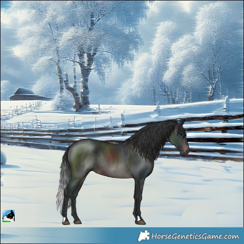Horse Color:Brown Rabicano 