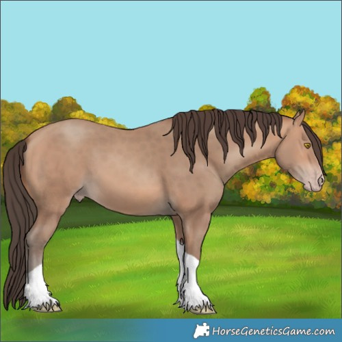 Horse Color:Amber Champagne Tobiano 
