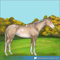 Horse Color:White Spotted Chocolate Palomino Pearl Mushroom