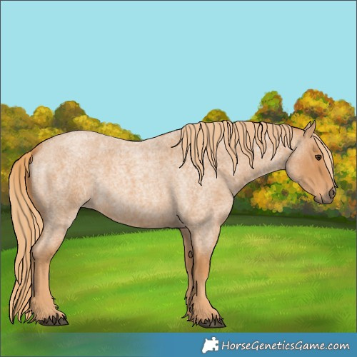 Horse Color:Red Roan 
