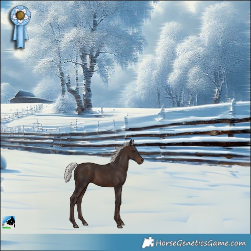 Horse Color:Silver Brown Rabicano 