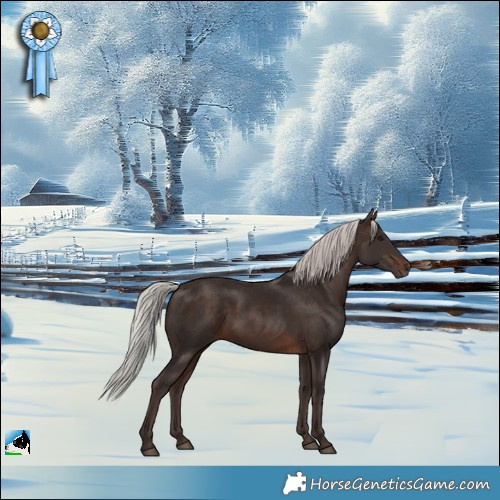 Horse Color:Silver Brown Rabicano 