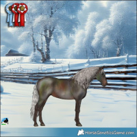 Horse Color:Silver Brown Rabicano