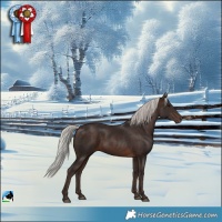 Horse Color:Silver Brown Rabicano