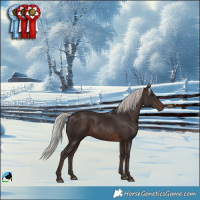 Horse Color:Silver Brown Rabicano 