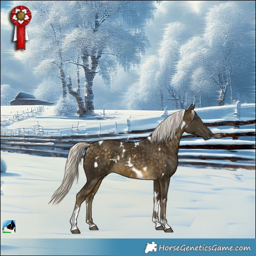 Horse Color:White Spotted Silver Buckskin Tobiano Rabicano 