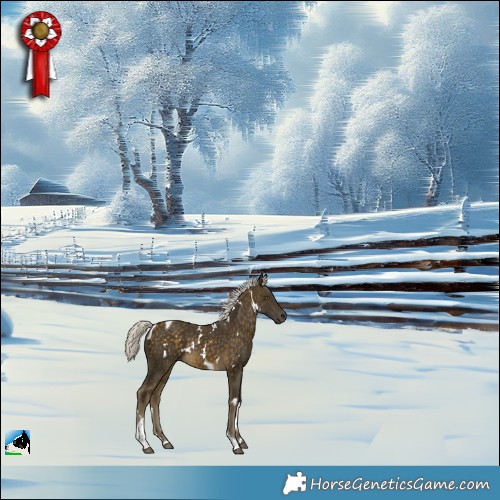 Horse Color:White Spotted Silver Buckskin Tobiano Rabicano